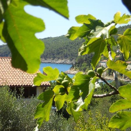 Apartments Ida Sveta Marina Дрене Экстерьер фото